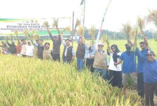 Kelompok tani Kukar bersama PT PAMA, JMB, dan KMIA gelar Panen Raya