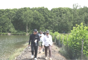 Guru besar Unmul kembangkan perikanan berbasis mangrove di Muara Badak